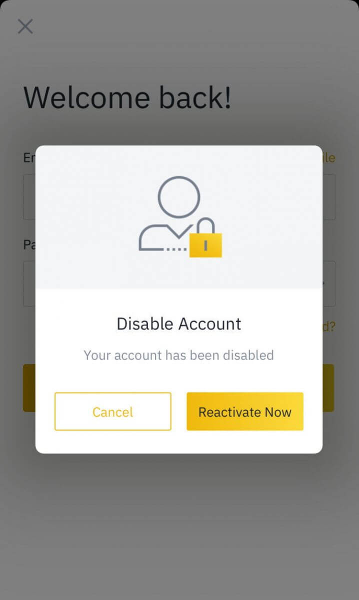 Kaip išjungti ir atrakinti „Binance“ paskyrą naudojant žiniatinklio ir mobiliąją programą Kaip išjungti ir atrakinti „Binance“ paskyrą naudojant žiniatinklio ir mobiliąją programą